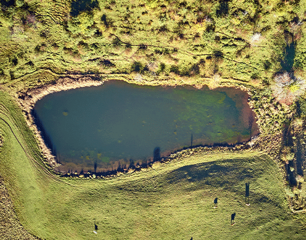 Aerial view of a small rural pond surrounded by grass and vegetation